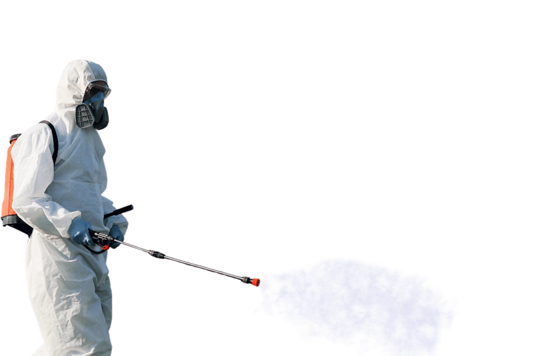 Санитарно-эпидемиологическая служба (СЭС)